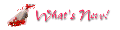 What's New!