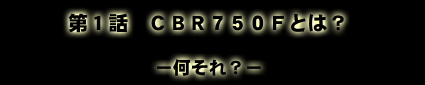 Pb@CBR750FƂ́H